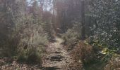 Randonnée Marche Saint-Ouen-le-Brisoult - Les Gorges de Villiers - Photo 1