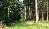 Trail Walking Montgobert - en forêt de Retz_83_les Champs Mentard_le Fond d'Argent - Photo 3
