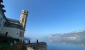 Trail Electric bike Aix-les-Bains - Aix les bains tour lac de Bourget abbaye Hautecombes  - Photo 5