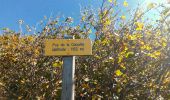 Trail Walking Saint-Ours - 2019-09-12 - Puy des Gouttes - Puy Chopine -Puy Coquille - Puy de Jumes - Photo 2