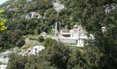 Trail On foot Unknown - Μεγίστης Λαυρας - Αγιος Νειλος - Αγια Αννα - Photo 8