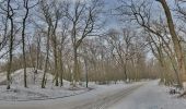 Percorso A piedi Târgu Mureș - Târgu Mureș (Platoul Cornești) - Dealul Nou - Sângeorgiu de Mureș - Photo 1