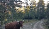 Trail Walking Ubaye-Serre-Ponçon - Clot la Cime - Photo 1