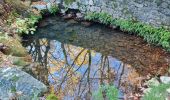 Tour Wandern La Roquebrussanne - croix de bérard. agnis - Photo 2