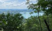 Tour Wandern Aiguebelette-le-Lac - L’épine et le lac d’Aiguebelette  - Photo 18