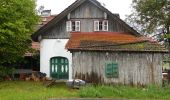 Percorso A piedi Thalgau - Forsthaus Wartenfels Wanderweg - Photo 8