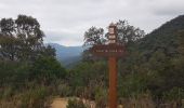 Tour Wandern Mandelieu-la-Napoule - Grand Duc - Photo 2