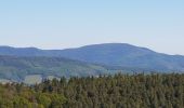 Tour Wandern Dambach - Dambach - châteaux du Bernstein, de l'Ortenbourg et du Ramstein - Photo 14