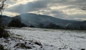 Tour Wandern Stablo - Stavelot 20,6 km - Photo 4