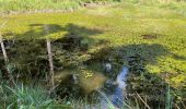 Trail Walking Vielsalm - Initiation bivouac j1 - Photo 2