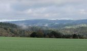 Tocht Stappen Houffalize - rando engreux 15-10-2023 - Photo 16