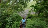 Trail Walking Wallers - Mare goraux - Photo 3