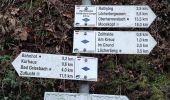 Trail On foot Bad Peterstal-Griesbach - Bad Peterstal - Breitenberg - Photo 7