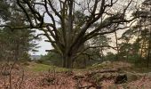 Trail Walking Fontainebleau - Sentier Denecourt n2 - Photo 13