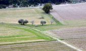 Tour Wandern Roquefort-la-Bédoule - Grand Caunet, le Montounier - Photo 17