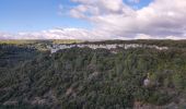 Tocht Stappen La Caunette - La Caunette ACAD - Photo 4