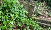 Excursión Marcha nórdica Le Vauclin - La boucle de la montagne du Vauclin - Photo 3