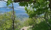 Trail Walking Collonges-sous-Salève - Mont Salève, la grande gorge - Photo 1