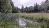 Randonnée Marche Sprimont - plain de fagne . rouge thier . adzeux - Photo 12