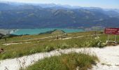 Excursión A pie St. Wolfgang im Salzkammergut - Wanderweg 27 - Photo 6