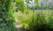 Tocht Stappen Graven - Gottechain - Photo 2