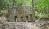 Randonnée Marche Oberhaslach - Hohenstein, Petit et Grand Ringelstein - Photo 4