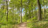 Randonnée Marche Genappe - Promenade de Bousval - Photo 8