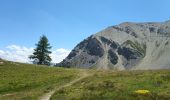 Trail Walking Arvieux - tour de la crête de combe la roche par Clapeyto - Photo 2