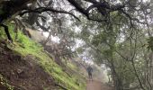 Tocht Stappen San Cristóbal de La Laguna - Las Carbonaras Chimada AR - Photo 2