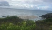 Trail Nordic walking Sainte-Anne - Fond grand ma  modette le littoral  - Photo 12