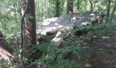 Randonnée Marche Magny-les-Hameaux - bois des roches - Photo 6
