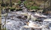 Trail Walking Jalhay - pont de belle heid la vallée de la hoegne - Photo 13