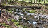 Trail Walking Sondernach - Schnepfenried - Hahnenbrunen - Mittlach  - Photo 1
