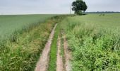 Tocht Paardrijden Walcourt - Mertenne/bois de la Baronne/Rognée - Photo 7