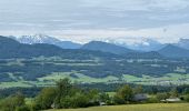 Tour Wandern Thalgau - De Wasenmoos à la Chapelle du Kolomansberg - Photo 15