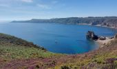 Randonnée Marche Plévenon - BOUCLE DEPUIS PLENEVON AVEC CAP FREHEL ET FORT LA LATTE - Photo 17