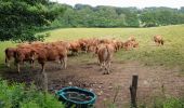 Percorso Marcia Golinhac - live Golinhac - Conques  - Photo 3