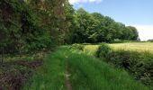 Tour Wandern Momignies - Macquenoise 170621 - Photo 2