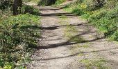 Trail Walking Callac - un tam tro Kallag 22 - Photo 6