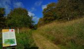 Trail On foot Unknown - The Strandkær path - Photo 10