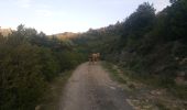 Percorso Arrampicata su alberi Duilhac-sous-Peyrepertuse - Cathare 4 Duilhac sous P.  Bugarach - Photo 4