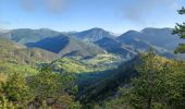 Tour Wandern Verdaches - VERDACHE Tour de Gareous , pâturages du Blayeul n - Photo 3