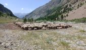 Trail Walking Vallouise-Pelvoux - lac de l'Eychauda - Photo 1