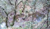 Randonnée Marche Seillans - Bories de Seillans,  la Camandre, vallon des combes longues  - Photo 4