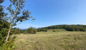 Percorso Marcia Saint-Agnan-en-Vercors - Col de soulier - Photo 6