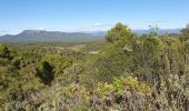 Tour Wandern Le Val - Le Val le Cuit les Crêtes  - Photo 3