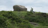 Percorso A piedi Sconosciuto - Rostrevor Forest - Slievemartin Trail - Photo 9