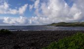 Trail Walking Le Marin - L'oeil bleu aller-retour  - Photo 11