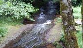 Trail Walking Girmont-Val-d'Ajol - herival - Photo 5