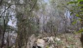 Tour  Roquefort-la-Bédoule - Sous les barres de fond blanche  - Photo 18